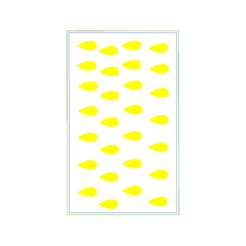 Wall Other Wall Other