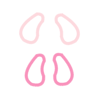 Western Blind Snake Other