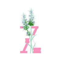 White Heath Aster Other