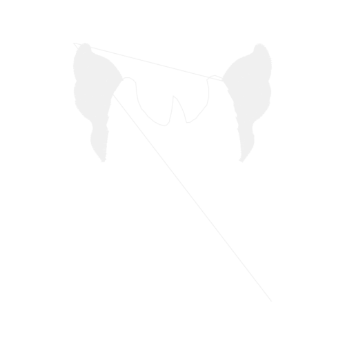 White Other White Other