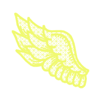 Wing Other Wing Other