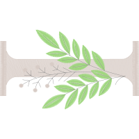 Winged Elm Other Winged Elm Other