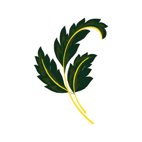 Wood Other Wood Other