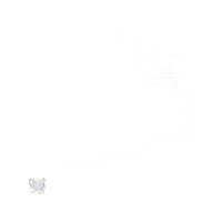 Y3406 Other Y3406 Other