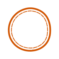 York Other York Other