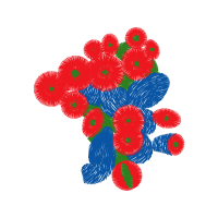 Zinnia Other Zinnia Other