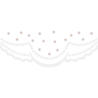 2025 Copa Libertadores Other