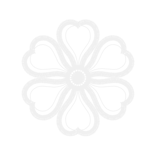 7Wire Ventures Other 7Wire Ventures Other