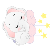 Aam Equipment Llc Other