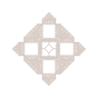 Acf Fiorentina Other