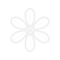 Allergy Other Allergy Other