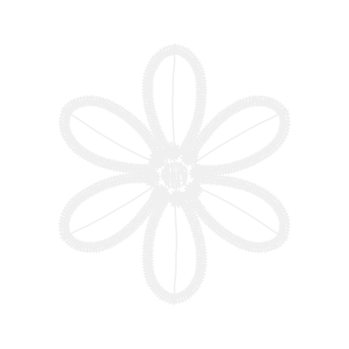 Allergy Other Allergy Other