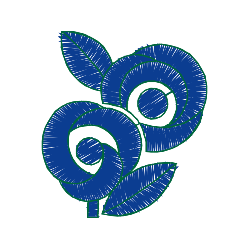 Ammonites Other Ammonites Other