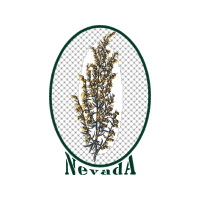 Antenna Other Antenna Other