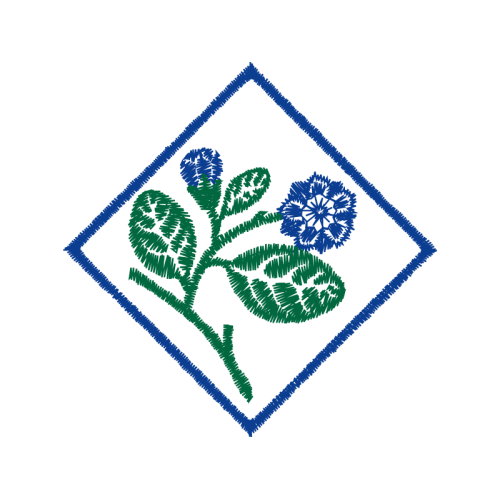 Aqsa Mosque Other Aqsa Mosque Other