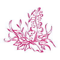 Artificial Physical Structure Other