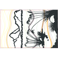 Asian Palmyra Palm Other Asian Palmyra Palm Other