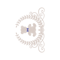 Award Other Award Other