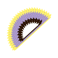 Bike Other Bike Other