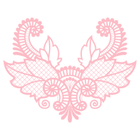 Bike Other Bike Other