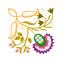 Bike Other Bike Other