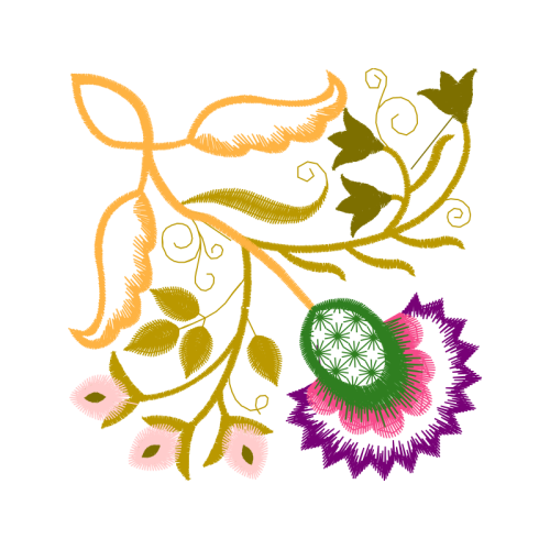 Bike Other Bike Other