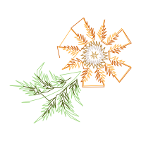 Black Spruce Other Black Spruce Other