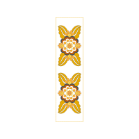 Brush Footed Butterflies Other