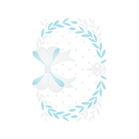 Brush Footed Butterflies Other Brush Footed Butterflies Other