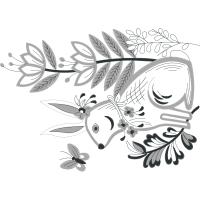 Brush Footed Butterflies Other