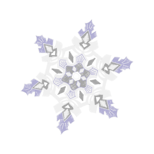 Canadian Cancer Society Other Canadian Cancer Society Other