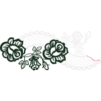 Cartoon Other Cartoon Other