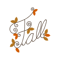 Cartoon Other Cartoon Other