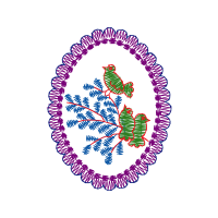 Caseyville Other Caseyville Other