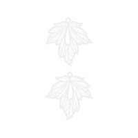 Cattleya Orchids Other