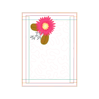 Center For Dalit Women Nepal Other Center For Dalit Women Nepal Other