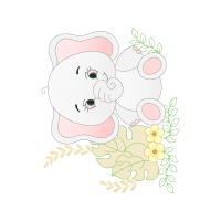 Cesky Terrier Other Cesky Terrier Other