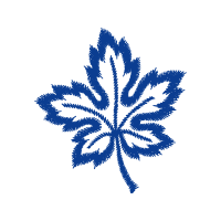 Chasuble Other Chasuble Other