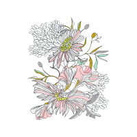 Chrysanthemum Other
