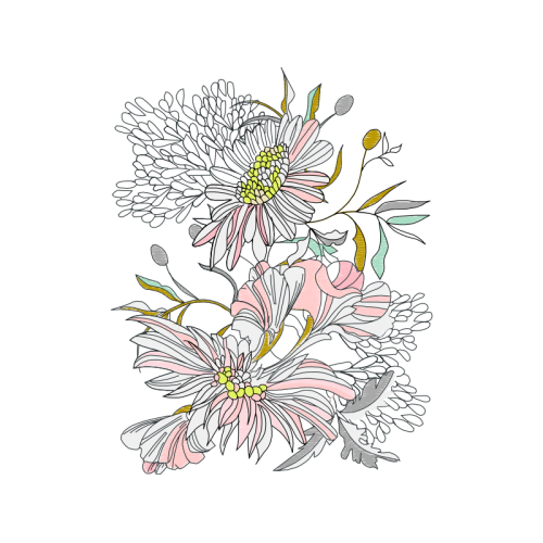 Chrysanthemum Other Chrysanthemum Other