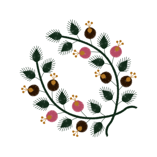 Chrysanthemum Other Chrysanthemum Other