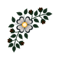 Chrysanthemum Other Chrysanthemum Other