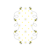 Chrysanthemum Other Chrysanthemum Other