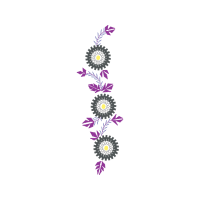 Chrysanthemum Other Chrysanthemum Other