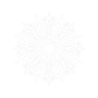 Chrysanthemum Other Chrysanthemum Other