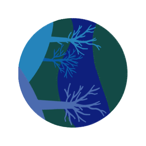 Circle Other Circle Other