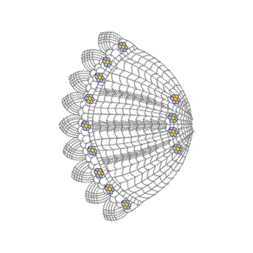 Circle Other Circle Other