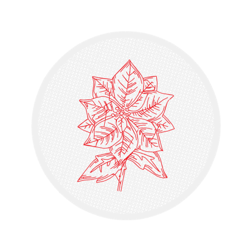 Circle Other Circle Other