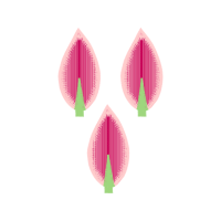 Circle Other Circle Other