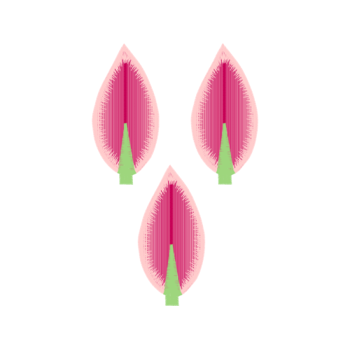 Circle Other Circle Other